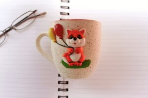 Fox Cup